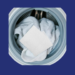 Free-Laundry-Strips-Sample